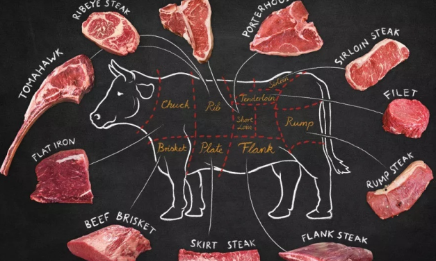 The whole science of steak knowledge: from novice to proficient